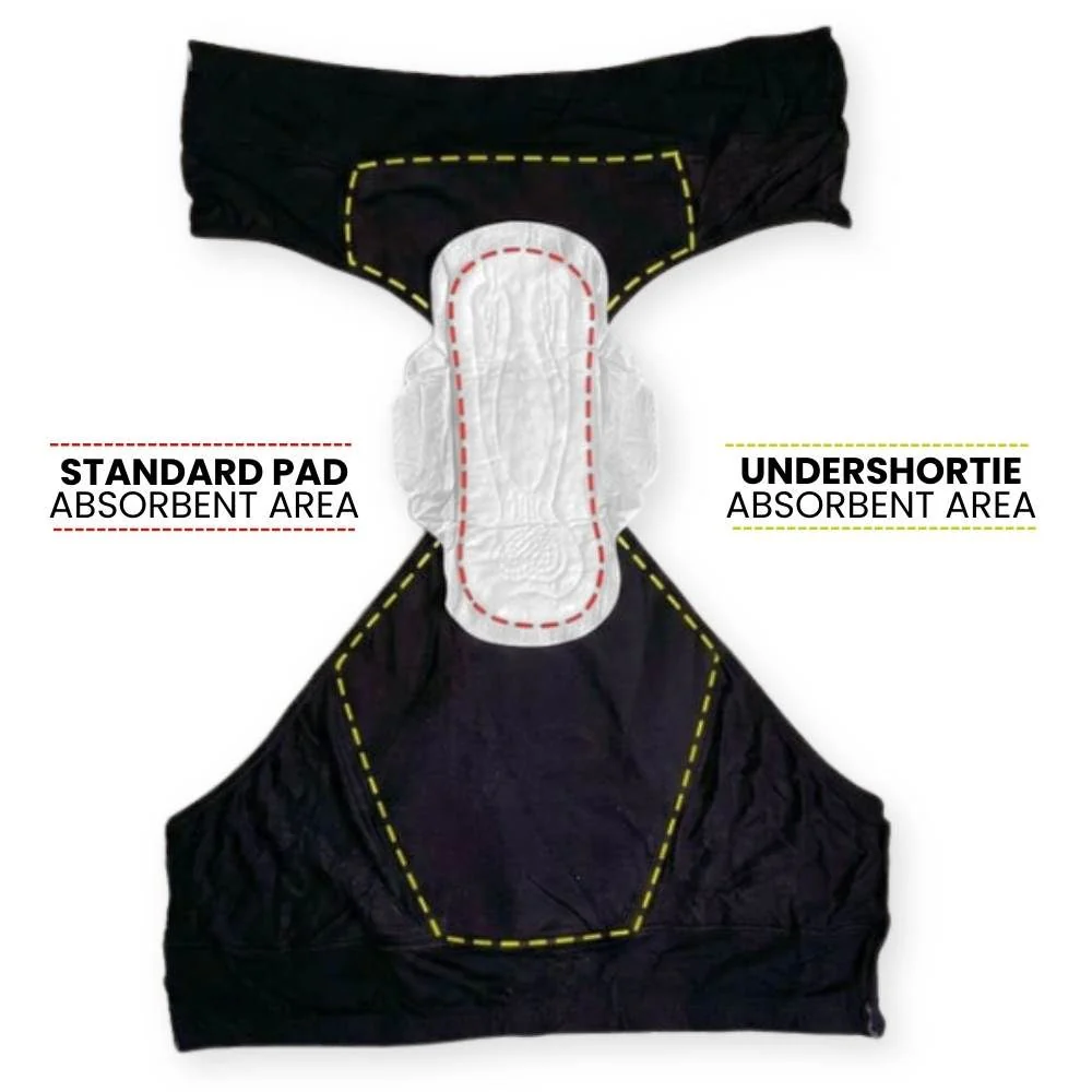 UnderShortie: Boyleg Leak-Proof Period Briefs - Image 3